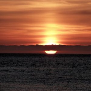 celebrate the summer solstice