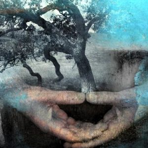 develop true intuition with a spiritual mentor & coach