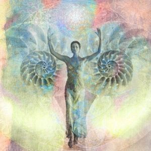 discover the power of gratitude with a spiritual mentor & coach