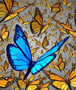 develop feminine leadership with intuitive spiritual counseling