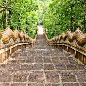 develop spiritual freedom with spiritual counseling coaching
