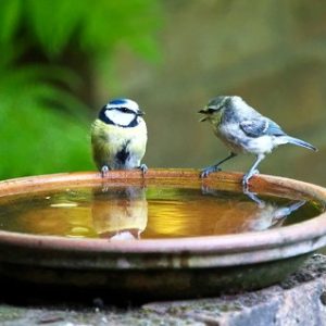learn to listen to your soul with spiritual counseling & coaching