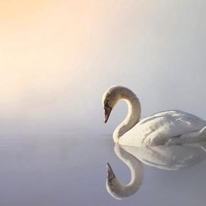 solitude is essential for spiritual growth